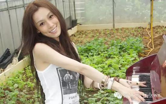 明星旅行糗事一籮筐 總有一個(gè)萌到你！