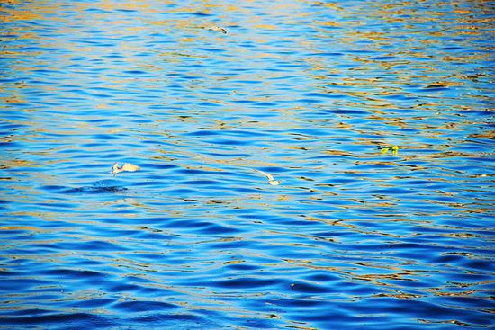 菲律賓日落大道 遙望南中國(guó)海