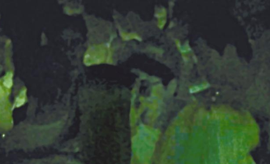 房祖名去年被港媒直擊在中環(huán)夜店與長發(fā)妞互動曖昧，女生正是Nana