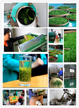 制茶的工藝真地道，仿佛聞到了茶香