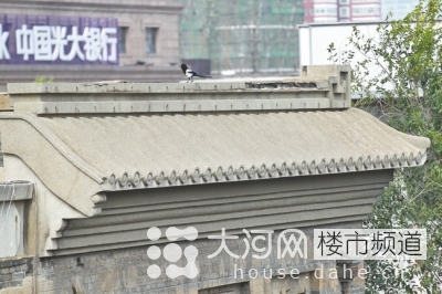 鄭州花園路“飛機(jī)樓”也要拆？去留引發(fā)關(guān)注