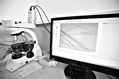 顯微鏡下，蠶絲呈現(xiàn)出表面有光澤，形狀不規(guī)則，粗細(xì)不均。