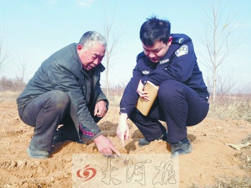 牡丹苗被盜之后，郭萬通又補(bǔ)種的牡丹苗已經(jīng)發(fā)芽