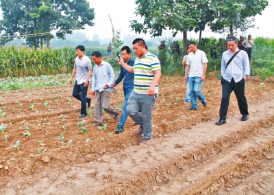刑警帶嫌疑人司某(左二)在瓜地里指認(rèn)現(xiàn)場