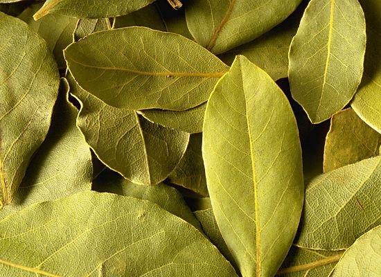 你知道廚房里常見調(diào)料的用法嗎？