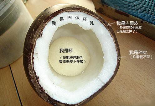 你在甜品店常吃的東西，到底都是啥？