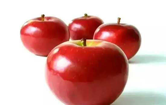 小心有毒！各種蔬果不能吃的部分