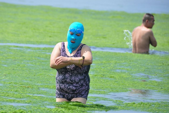 2013年7月3日，山東青島青島高溫來(lái)襲，“青島大媽”不懼滸苔，戴著“強(qiáng)盜面具”出現(xiàn)在海水浴場(chǎng)消暑降