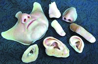 青島小偷用豬皮做人臉易容 超逼真堪比畫皮 青島小偷用豬皮做人臉易容 超逼真堪比畫皮