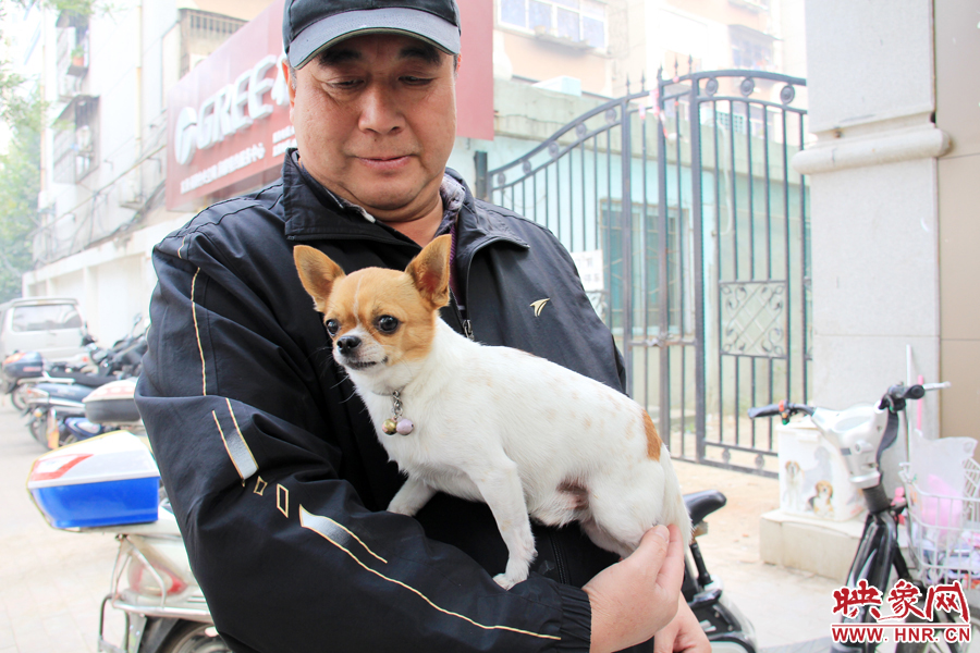 在市民眼里，小狗狗都是他們的小寶貝