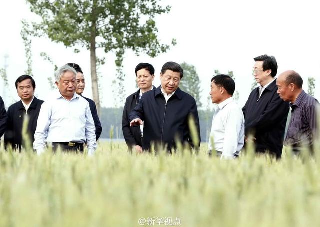 習近平走進糧田,看麥穗灌漿,問農田建設。