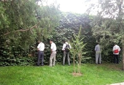 6月30日，頤和園內(nèi)綠地上，多名游客在小解。 網(wǎng)友“攝影老鬼” 攝