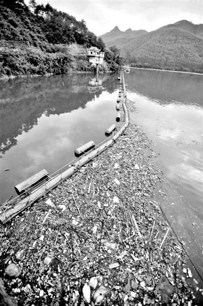 7月7日，廣西賀州市賀江合面獅段被污染的水域。據(jù)新華社