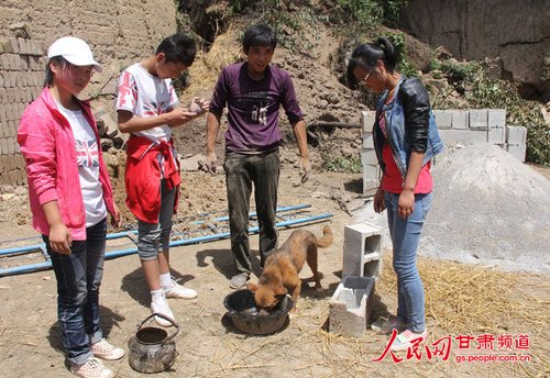 渴壞了的小黃狗在喝水。王生元/攝