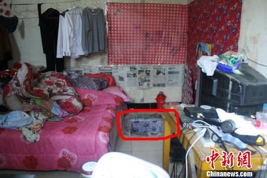 圖上紅圈內為嫌犯所挖地窖入口。 吳佳蔚 攝