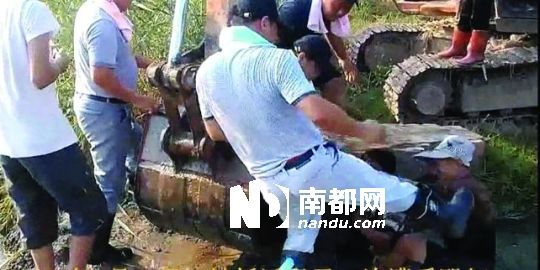 幾名戴黑帽的男子將一名老人推入水塘，后反復(fù)腳踹。