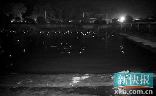 昨日，西湖村鱷魚(yú)養(yǎng)殖場(chǎng)已修復(fù)圍欄。