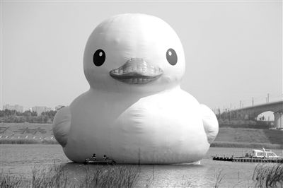 昨日，經(jīng)過連夜修正，大黃鴨的嘴部已恢復(fù)變寬，和在香港展出時(shí)看起來一樣。