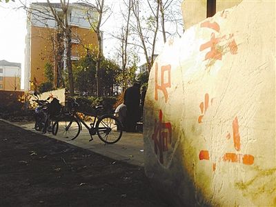 昨日，“上海奇石盆景博物館”原址上，已矗立起小區(qū)樓盤(pán)，而刻著博物館名的巨石，廢棄在一旁。本版圖片/新京報(bào)記者 張永生 攝