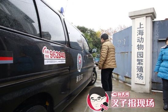 殯葬車到達現(xiàn)場。新民網(wǎng) 記者 蕭君瑋 攝