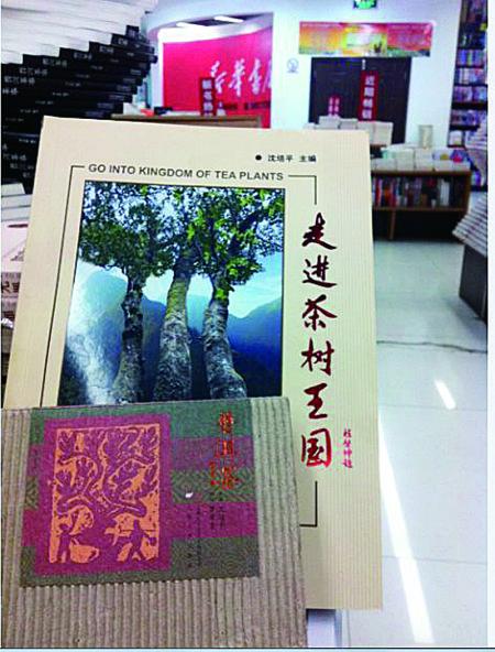 今天上午，記者在普洱市振興大道上的新華書店內(nèi)發(fā)現(xiàn)，沈培平主編的《走進(jìn)茶樹王國》、《普洱茶連環(huán)畫》兩種書還在售