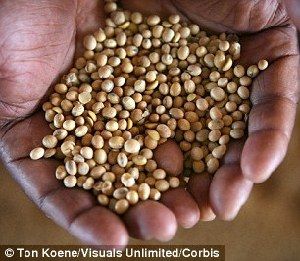 超強(qiáng)厄爾尼諾將引發(fā)全球極端天氣，中國北方或極端高溫-