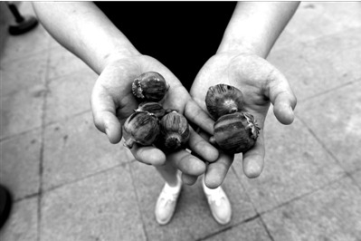 “大煙殼”輕易就可以買(mǎi)到。下圖：女?dāng)傊髂贸霾卦诩t色兜子里的“大煙殼”，向記者兜售。京華時(shí)報(bào)實(shí)習(xí)記者趙思衡攝