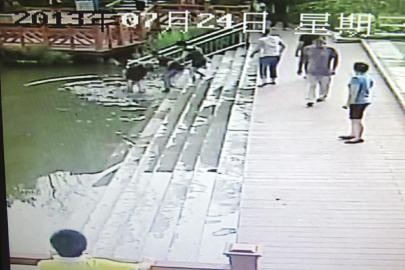 救人現(xiàn)場的視頻截圖。（監(jiān)控截圖）