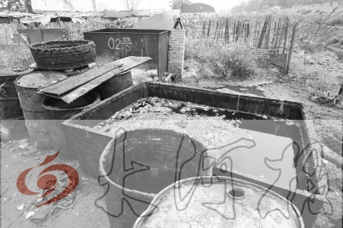 　　骯臟、令人作嘔的油桶凌亂地擺放在院子里，為了避免視覺刺激，我們把它做成了黑白圖片。