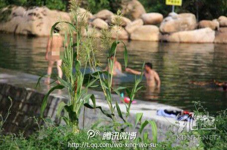 網(wǎng)友曝光的現(xiàn)場圖片。（圖片來自網(wǎng)絡(luò)）