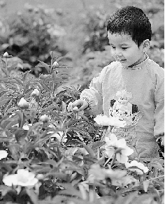 　春光里,鄭州處處皆美景。