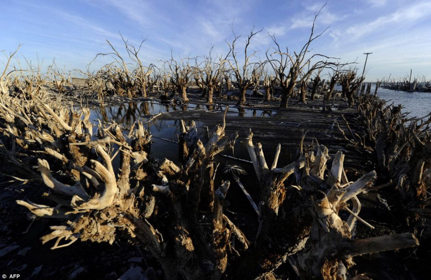阿根廷一城市被淹25年后重見天日 阿根廷一城市被淹25年后重見天日