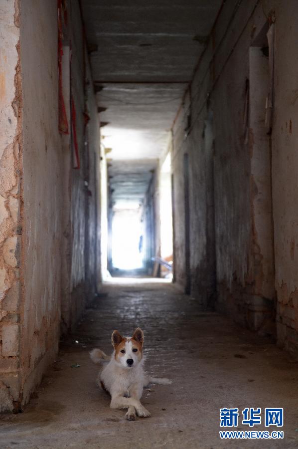 農(nóng)場棚戶區(qū)的最后留守家庭：留下的是回憶，迎來的是幸福