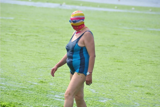 2013年7月3日，山東青島青島高溫來襲，“青島大媽”不懼滸苔，戴著“強(qiáng)盜面具”出現(xiàn)在海水浴場消暑降