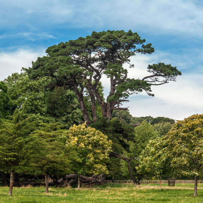 優(yōu)雅的城堡:蘭海德羅克 優(yōu)雅的城堡:蘭海德羅克