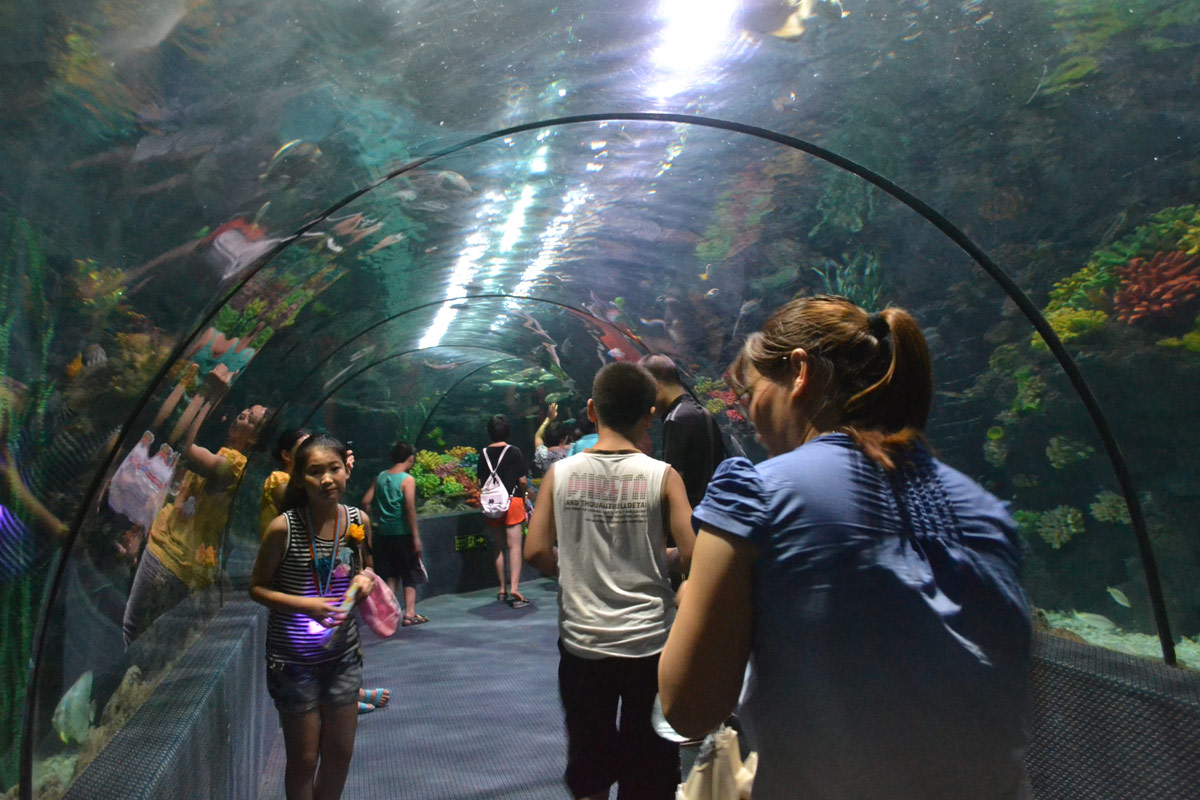 春節(jié)去哪兒？出游地圖告訴您！