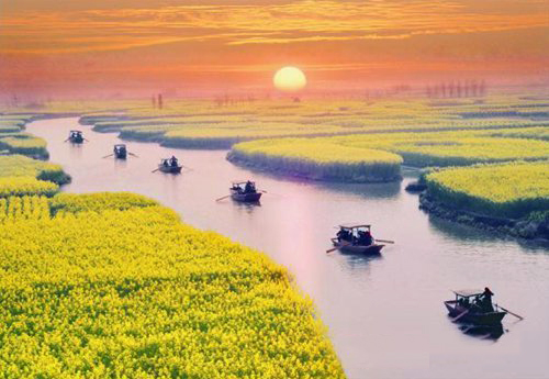 如何拍攝油菜花？達(dá)人教你7個(gè)拍攝技巧