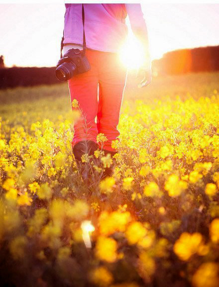 如何拍攝油菜花？達(dá)人教你7個(gè)拍攝技巧