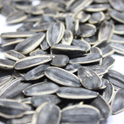 出國旅游海關(guān)檢查有講究 啥能帶啥不能帶？