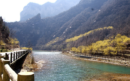 有一種呼喚，叫春天里的蟒河！