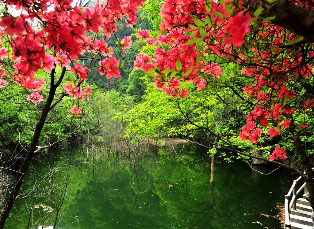 母親節(jié)河南景區(qū)優(yōu)惠大波來襲！