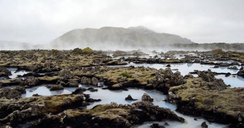 親子游歡樂(lè)勝地