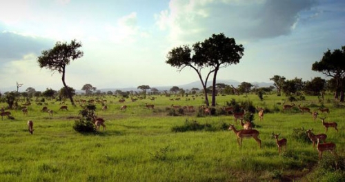 親子游歡樂(lè)勝地