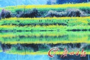 　　江嶺梯田落差不大,但有花有水。