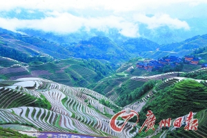 　　龍勝梯田大氣而立體。