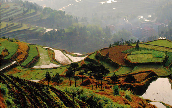 茗岙的盤山公路 茗岙的盤山公路