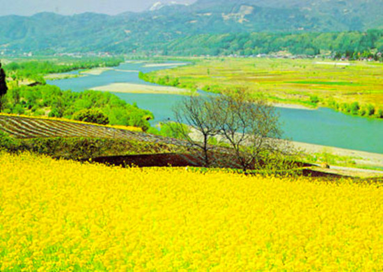 信陽(yáng)舉行“捷安特杯”美麗鄉(xiāng)村全國(guó)單車嘉年華