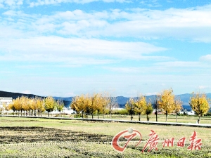 　　大理洱海湖畔美麗的鄉(xiāng)村景色。