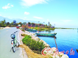 洱海的藍讓人沉醉。