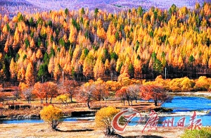 　　呼倫貝爾秋色。